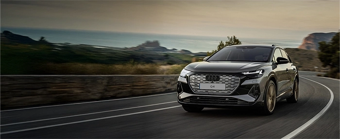 De top 5 zakelijke VAG-modellen