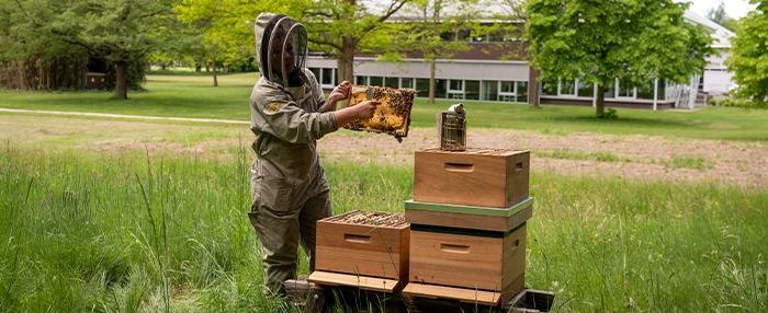 Imker bij bijenkasten bij Broekhuis