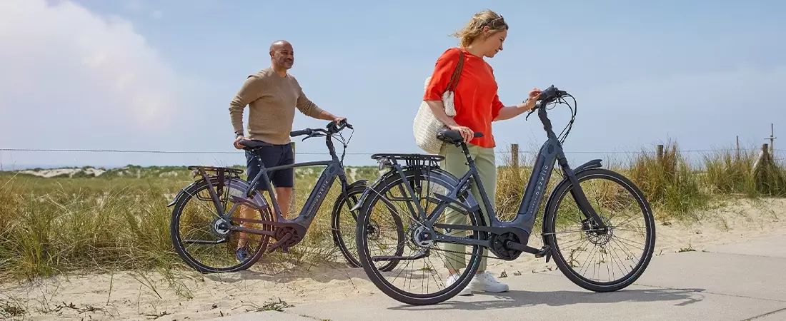 De beste elektrische fietsen