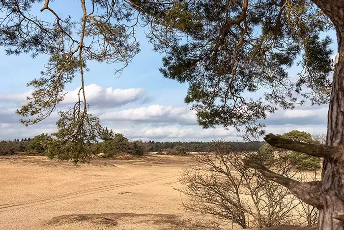 Haaksbergen; Buurserzand