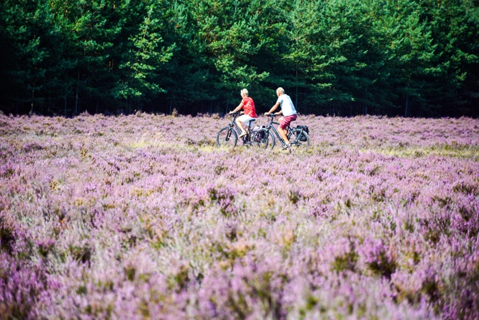 Fietsen op de hei in het Gooi