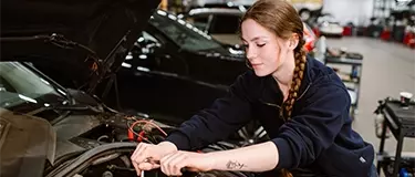 Collega's - Demi van Hees