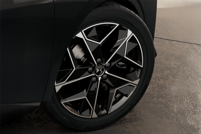 DS Now or Never Business Deals