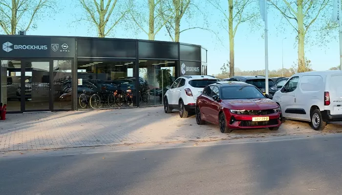 Winterpuzzel de Drontenaar