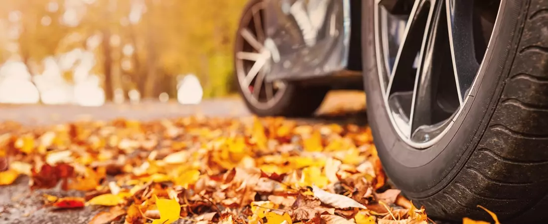 Nieuwsbericht Winnaar vierseizoenenbanden