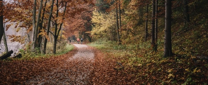 Fietspad in de herfst