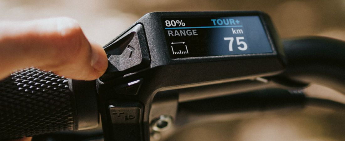 Bosch Purion 200 display