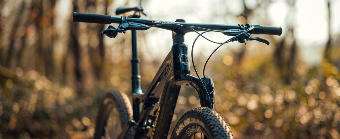 Cannondale Scalpel 1 Lefty Raw front at Hulsbeek