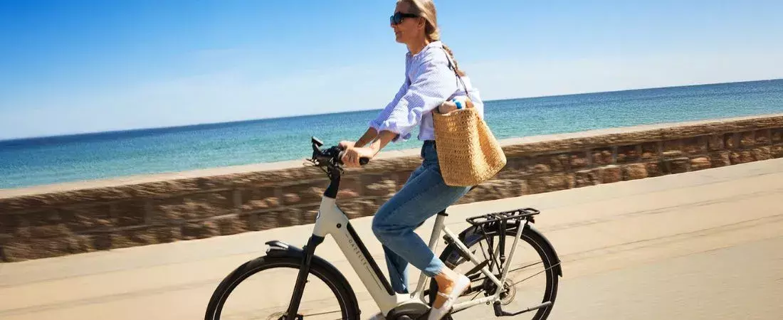 Gazelle Grenoble e-bike, één van de beste e-bikes bij Broekhuis