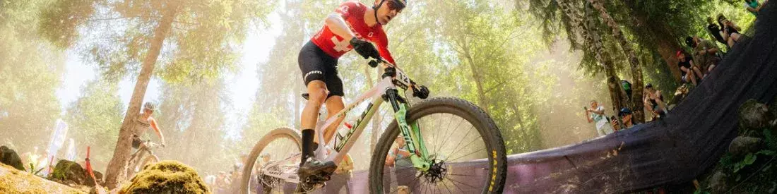 Broekhuis Fietsen mountainbikes header