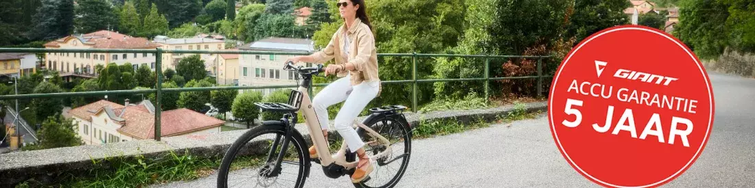 Liv Allure E+ 2026 met 5 jaar accugarantie