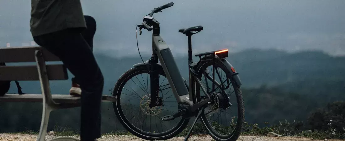 Giant AnyTour E+ toering e-bike
