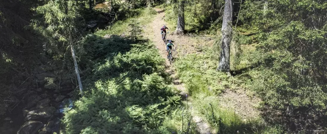 Cube Reaction MTB action