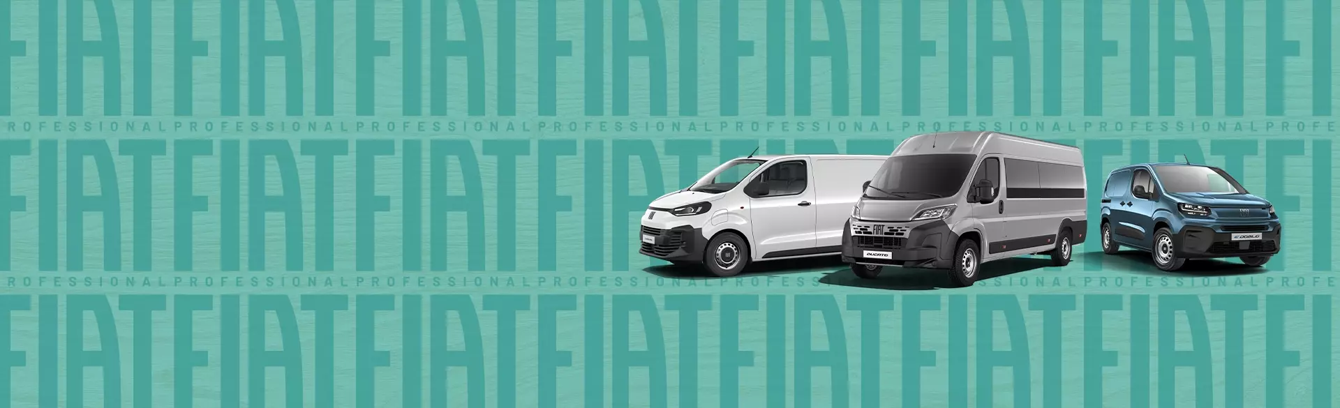 Fiat Professional Q4